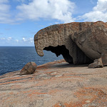 Thumb for Kangaroo Island